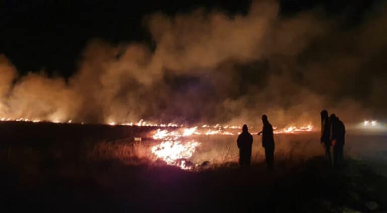 Southern Free State fires biggest in province history