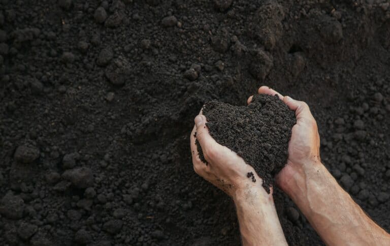 The soil is in the hands of a man. Selective focus.