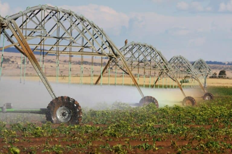 FS irrigation crops negatively impacted by stage 6 load shedding