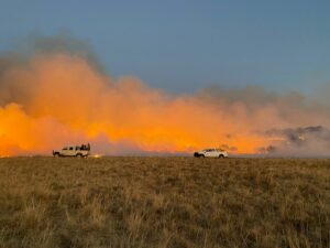 Impact of veld fires on food production in the Free State